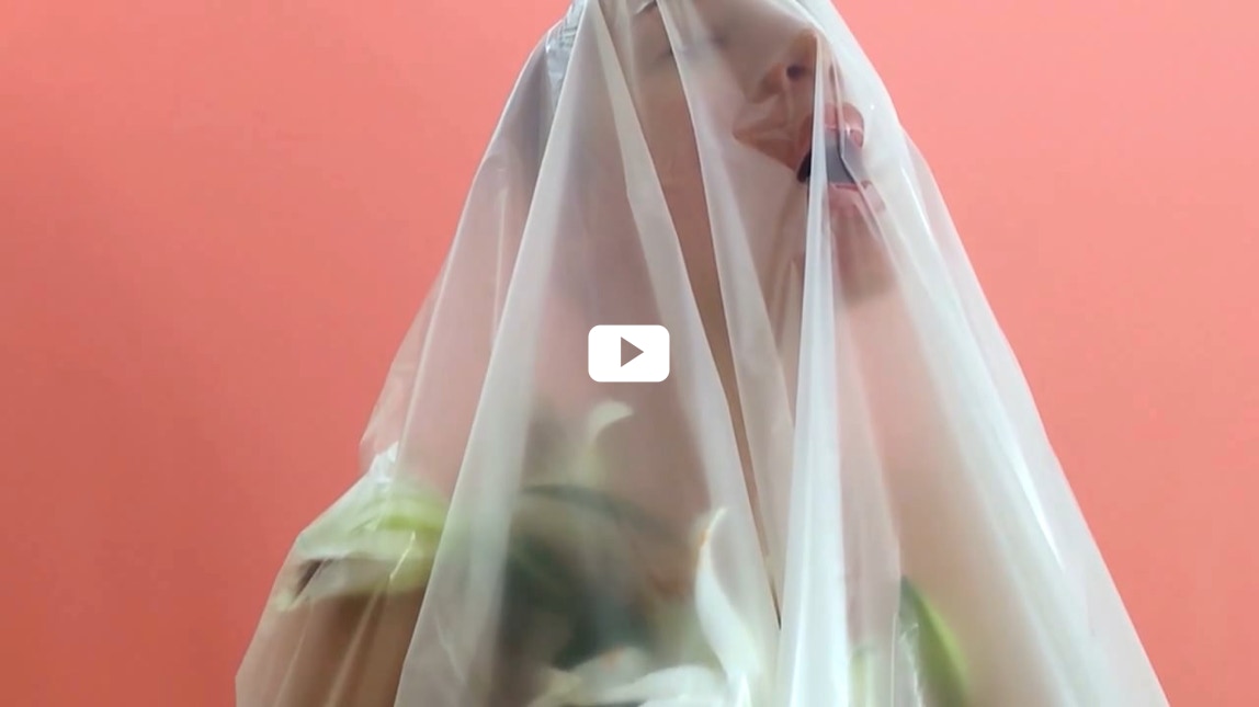 Vidéo